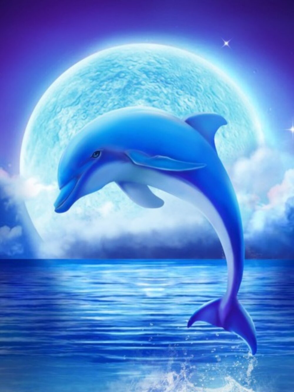 A Stunning 12" x 12" Dolphin in a Full Moon Print on Canvas